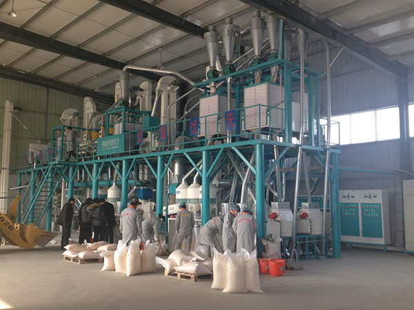 Ymft100 corn processing equipment(图1)