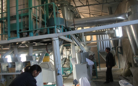 玉米加工破碎方式方法开封奥盛机械玉米加工机械厂家(图1)