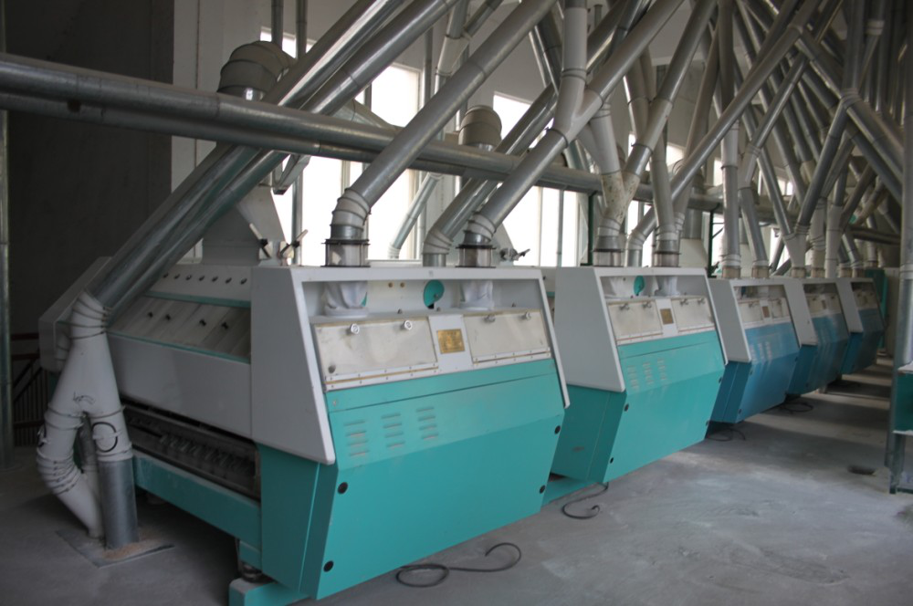 Floor Type Wheat Milling Equipment(图2)