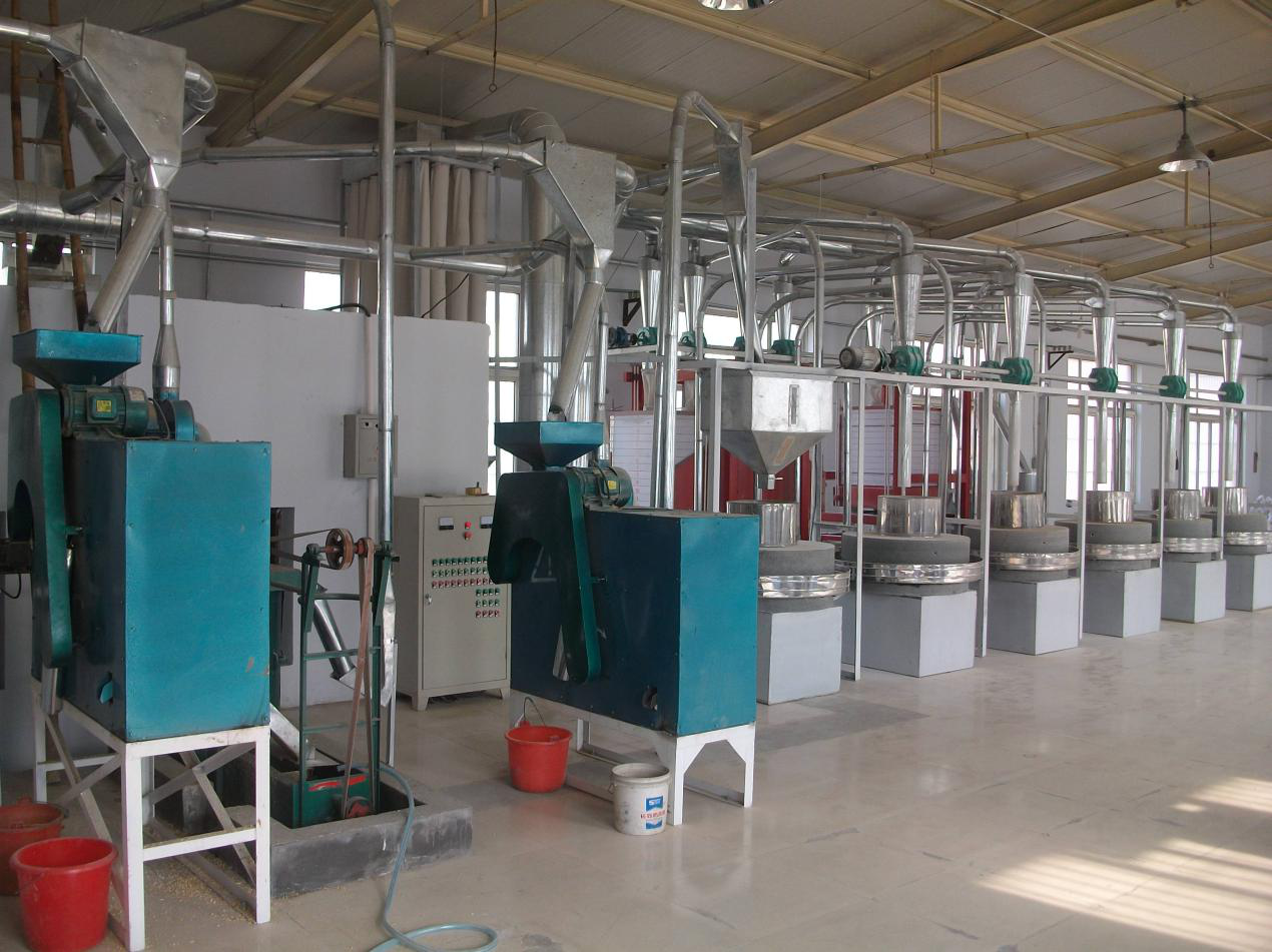 Small-sized Wheat Processing Equipment(图3)